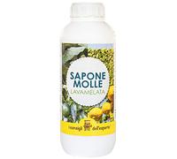 i Consigli dell'Esperto Sapone Molle di Potassio Conf. 1 litro, Biologico