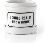 I Could Really Use A Drink Planter w Drip Tray by Galison Galison (Auteur)