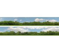 I D Backscenes P147BN Premium Photo Backscene 22,9 cm de haut, grands arbres, 3 m de long
