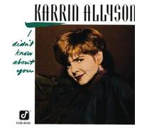 Allyson, Karrin - I Didn't Know About You