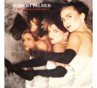 I Didn't Mean to Turn You on/Get It Through Your Heart [Import]