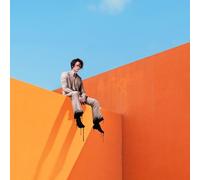 I DONT KNOW HOW BUT - GLOOM DIVISION - Vinyl Record - 44 - D99z