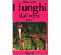 I funghi dal vero vol.6 – Saturnia