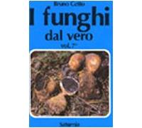 I funghi dal vero – Tome 7 – Saturnia