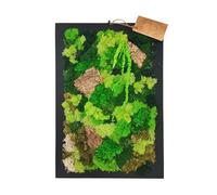 I GIARDINI DI GIULIA Cadre rectangulaire de mousse et lichens stabilisés véritable 'vert silence' 30 x 40 cm, avec cadre en bois, décoration murale naturelle pour la maison ou le bureau