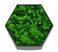 I GIARDINI DI GIULIA - Tableau hexagonal vert stabilisé avec mousse et lichens naturels - Décoration végétale design pour la maison et le bureau - Sans entretien (80 x 80 cm, avec cadre)
