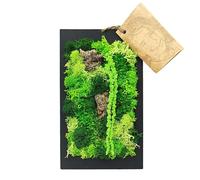 I GIARDINI DI GIULIA - Tableau mural en mousse stabilisé | Entretien zéro | Design élégant | Dimensions compactes 14,5 x 24,5 cm | Décor naturel | Cadre noir, bois