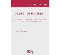 I Gruppi Di Società. Direzione E Coordinamento Di Enti. Diritti, Oneri E Responsabilità