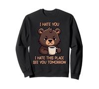 I Hate You I Hate This Place See You Tomorrow Sweatshirt
