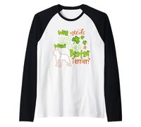 I Have A Boston Terrier Dog Lucky Shamrock St Patricks Manche Raglan
