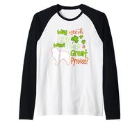 I Have A Great Pyrenees Dog Lucky Funny St Patricks Day Manche Raglan