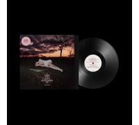 I Hope You Don't Remember Me [Vinilo]