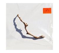 I Inside The Old Year Dying – CD