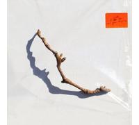 I Inside The Old Year Dying - Vinyle 33 Tours