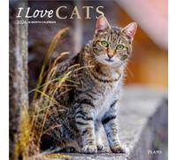 I Love Cats | Calendrier mural mensuel carré 2026 30,5 x 61 cm (suspendu) | Couverture estampillée | Platon | Chatons et animaux de compagnie félins