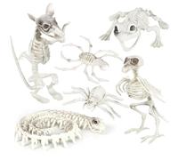 I LOVE FANCY DRESS Lot de 6 squelettes d'animaux squelettes d'Halloween - Oiseau, rat, grenouille, serpent, araignée et crabe - Accessoires squelettiques effrayants et effrayants pour Halloween
