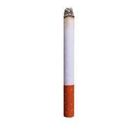 I LOVE FANCY DRESS Pack de 2 Fausses Cigarettes. Idéal pour Les soirées en intérieur.