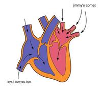 I Love You, Bye [Import]