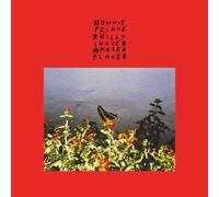 Bonnie Prince Billy I Have Made a Place (Vinyl) 12" Album