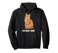 I Make What I Want Funny Orange Tabby Cat Lovers Mom Dad Sweat à Capuche