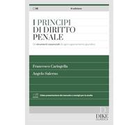 I principi del diritto penale. Gli strumenti essenziali di ogni ragionamento giuridico. Con aggiornamento online