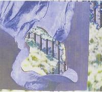 I See You Your Eyes are Red