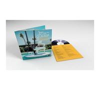 I Shouldn't Be Telling You This - Vinyle 33t