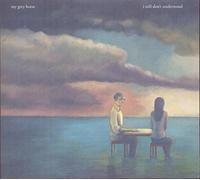 I Still Don't Understand