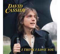 David Cassidy - I Think I Love You [Import]