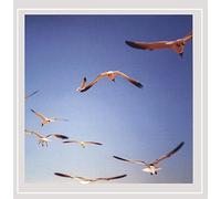 I Thought It Was of World Then The End