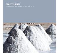 Saltland I Thought It Was Us But It Was All of Us (Vinyl) 12" Album