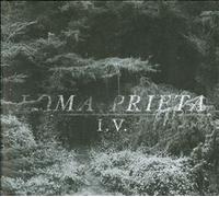 I.V.