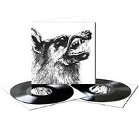 I Vigilante Vinyle