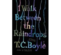 I Walk Between The Raindrops
