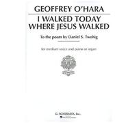 I Walked Today Where Jesus Walked
