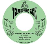 I Wanna Be With You / There Comes A Time [Vinyl]