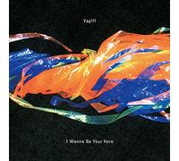 I Wanna Be Your Hero