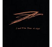 I Want to See Pulaski at Night