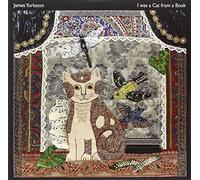 James Yorkston – I Was a Cat in a Book – Vinyle – Édition import (Domino Records)