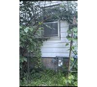 I Was Not Raised-Only Survived:: “A Memoir of Becoming”