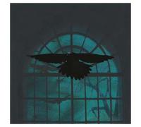 I Will Not Come Back