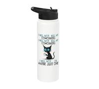 I Will Not Kill My Coworkers, Funny Colleger Stainless Steel Insulated Water Bottle