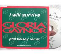 I Will Survive (Phil Kelsey Remix/orig. 12 [Import]