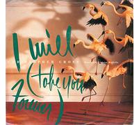 I Will (Take You Forever) [Vinyl Single 7'']