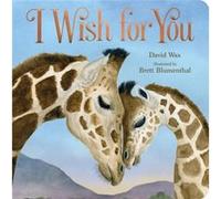I Wish for You by David Wax David Wax (Auteur)