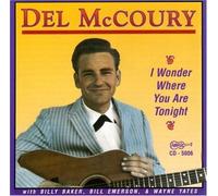 I Wonder Where You Are Tonight