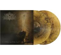 Wake In Providence - I Write To You My Darling Decay [Vinyl Lp] Gatefold Lp Jacket