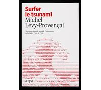 IA : canaliser le tsunami - Comment profiter de la transformation du travail, de l'entreprise et de la cité à l'ère de l'IA - Michel Levy-Provencal - Arpa - broché - Guide