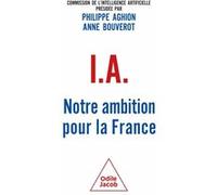 IA : Notre ambition pour la France