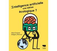 Ia, Une Bêtise Écologique ?